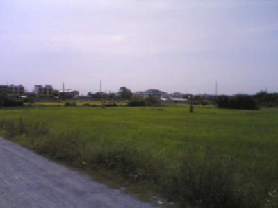 pic Beautiful Land for Sale : (20 Rai)