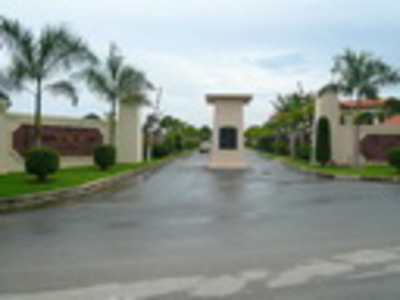 pic Whispering Palms, Prime land plots