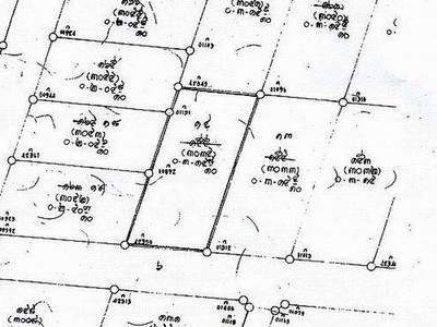 pic Phratamnak, 313 Tw2 - 1,252 sqm