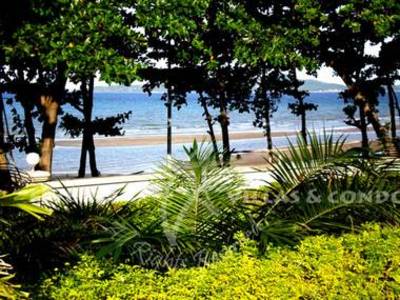 pic Studio sitting on Dongtan Beach 