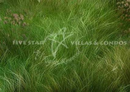 pic Ideal plot for one houseâ€¦ 