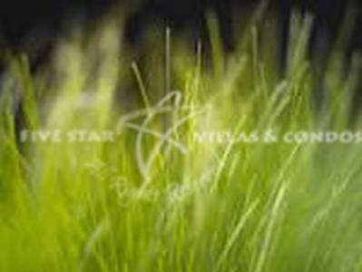 pic 25 Rai of prime development land 