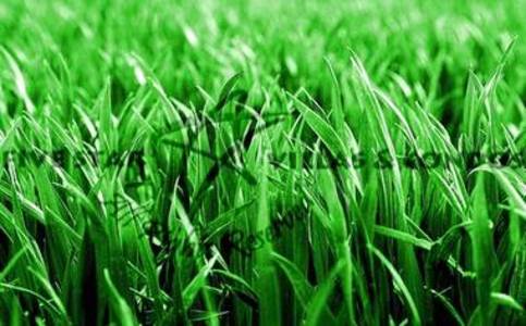 pic 5 Star land opportunity â€“ 191 sq wah 