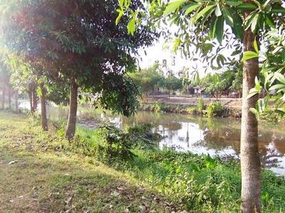pic Land close to Temple