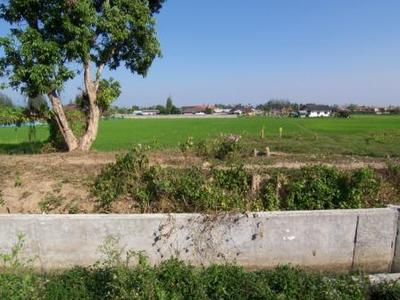 pic Land with Mountain View in Sansai