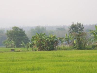 pic Land with Mountain View