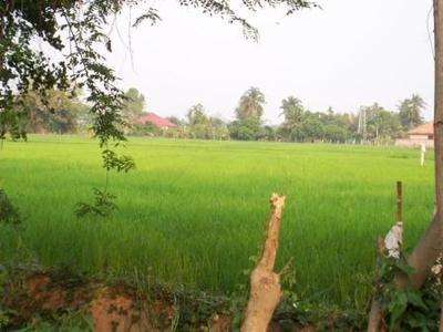 pic Land in Sansai for sale