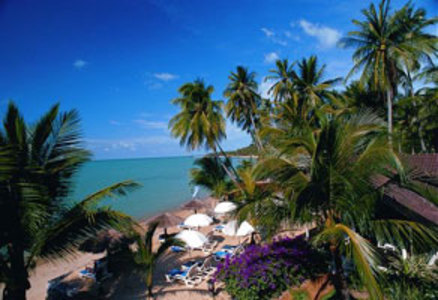 pic Paradise Beach Resort