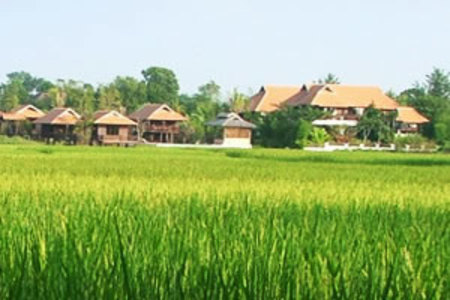 pic The Field Village  