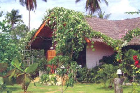 pic Mild Bungalow 