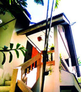 pic The Dream Garden 