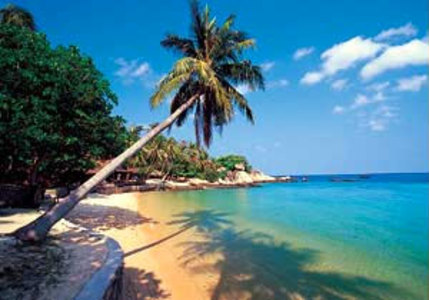 pic Sensi Paradise Beach Resort 