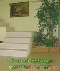 pic Orchid Cottage