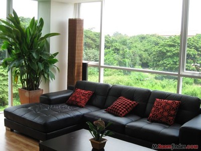 pic Chiang Mai Furnished Apts - 1 Bed   	