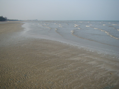 pic 100+ Wah Building Plot 80 M From Beach