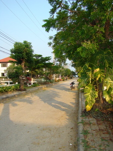 pic  100+  Wah Building Plot 80 M From Beach