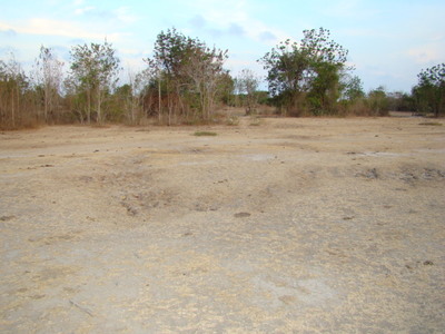 pic Land For Sale:  11 Rai