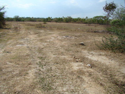 pic 3000 Rai of Land For Sale
