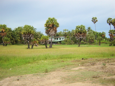pic More Than 3 Rai of Land For Sale