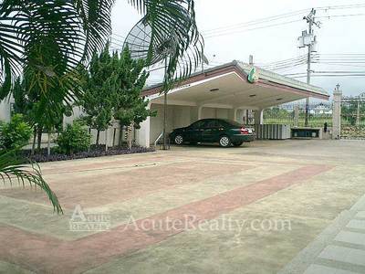 pic Land & House & Office for sale 2 rai 
