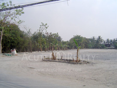 pic Land for sale 3 rai. located in Ekamai 