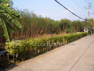 pic Land for sale !!! in Ladprao 