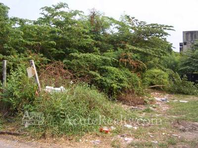 pic land for sale 1 Rai 100 Sqw.