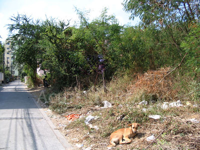 pic Land Area: 346 Sqw. [1,384 Sq.m.] 