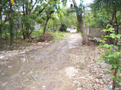 pic 309 Sqw. [1,236 Sq.m.]