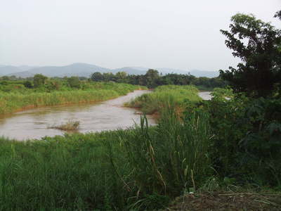 pic 1.5 rai  riverfront on the Ping River