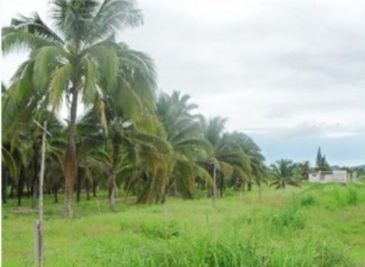 pic 15.5 Rai Hin Lek Fai Area W. of Hua Hin