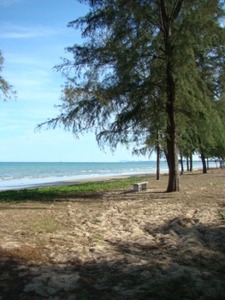 pic Beach Front Building Plot - Reduced!