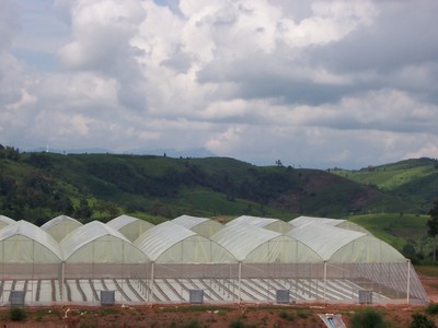 pic agricultural farm