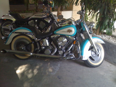 pic harley davidson softail for sale
