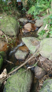 pic 26 rai mountain view land for sale