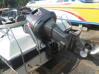 pic Fiber-Boat Yamaha 115