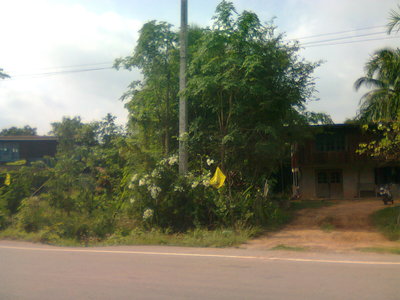 pic thai house and land for sale