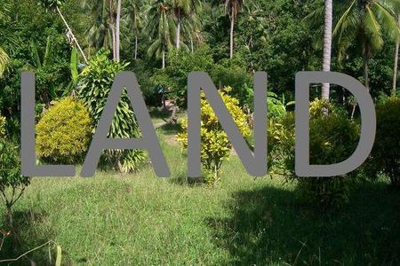 pic Land for sale - 1 RAI 334 TLW