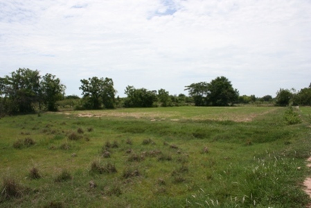 pic For Sale: Land 1 rai