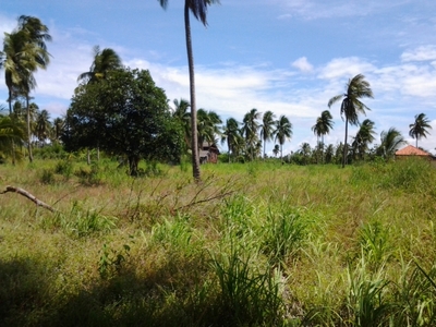 pic For Sale: Land at Huay yai 4 rai