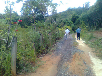 pic Land Phuket for sale