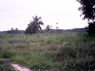 pic Land 92 800 m² Chon Buri for sale