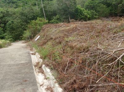 pic Land with sea view for sale in Lamai 