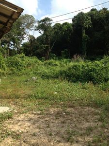 pic Land for Sale - Koh Lanta / Krabi