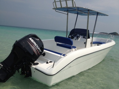 pic SALE NEW CENTER CONSOLE SR-21