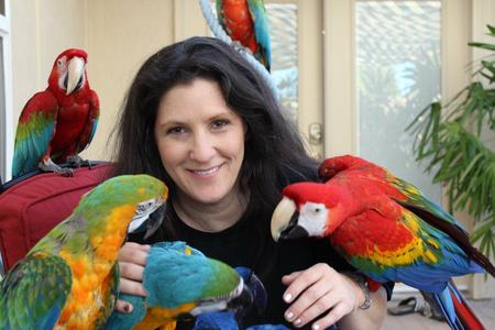 pic talking macaw parrots, cockatoos, Grey p