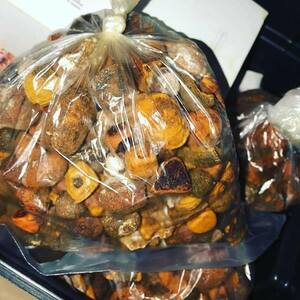 pic Cow/ox gallstones for sale
